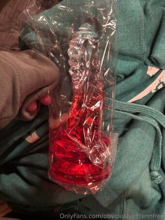 obviouslykittennfree