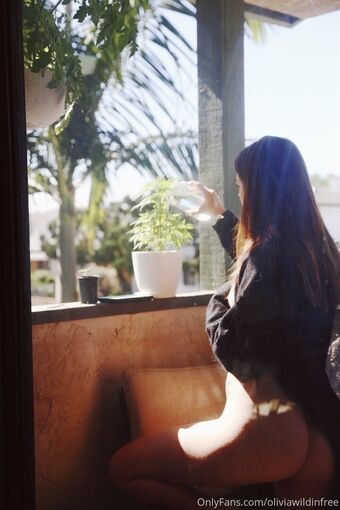 oliviawildinfree