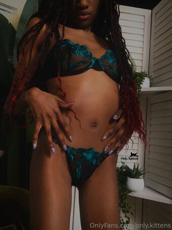 only.kittens Nude Leaks OnlyFans Photo 15