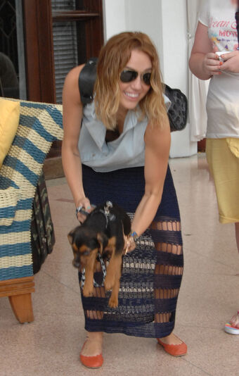 OOPS!!! International