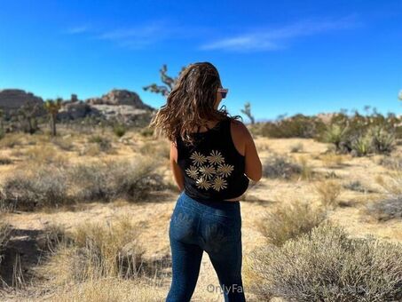 paint.with.babe.ross