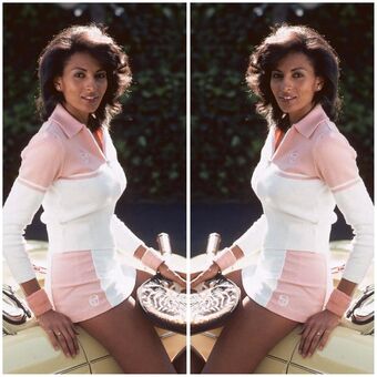 Pam Grier Nude Leaks OnlyFans Photo 37