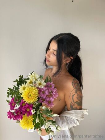 panteritafree