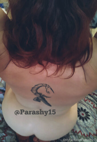 Parashy15