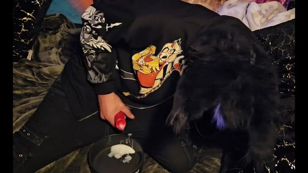 pawsheisty Nude Leaks OnlyFans Photo 7