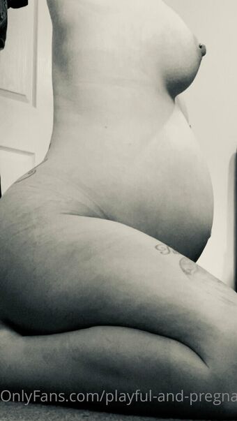 playful-and-pregnant Nude Leaks OnlyFans Photo 14