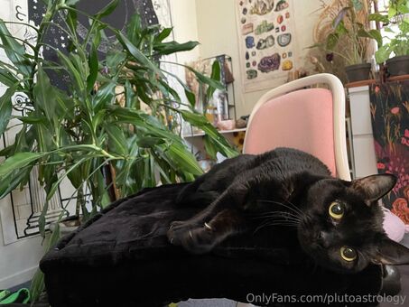 plutoastrology