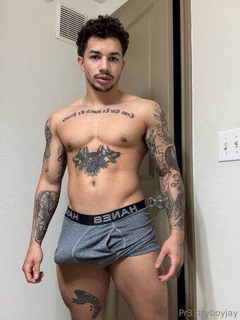 pr33ttyboyjay Nude Leaks OnlyFans Photo 14