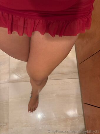 prettyykitty22 Nude Leaks OnlyFans Photo 3