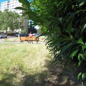 Public Agent Nude Leaks OnlyFans Photo 119