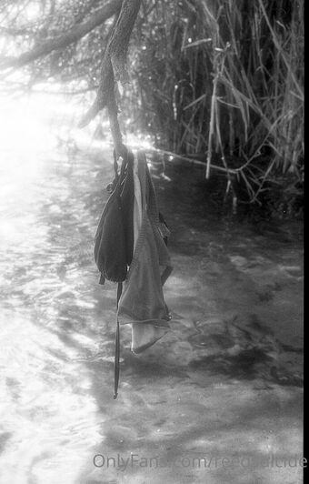 Reedsuicide