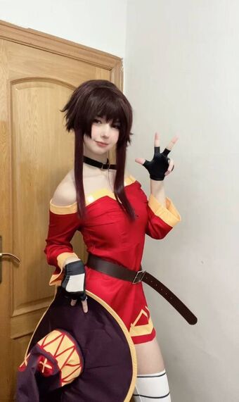 rincospl