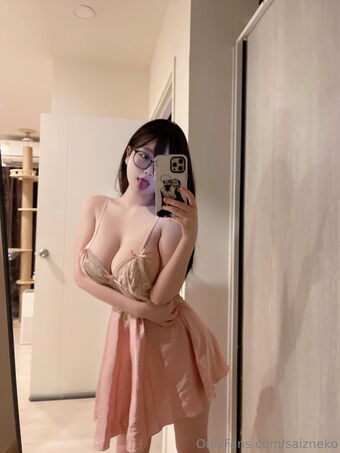 Saizneko
