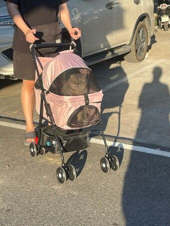 Saizneko Nude Leaks OnlyFans Photo 396