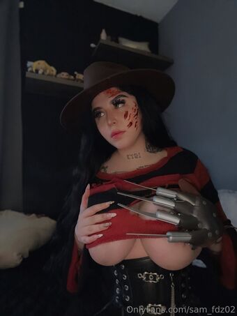 sam_fdz02