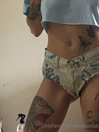 serdeplush Nude Leaks OnlyFans Photo 14