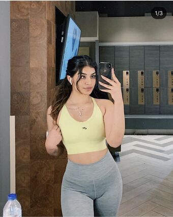 serenaacharya Nude Leaks OnlyFans Photo 4