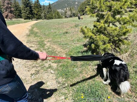 shakicast Nude Leaks OnlyFans Photo 96