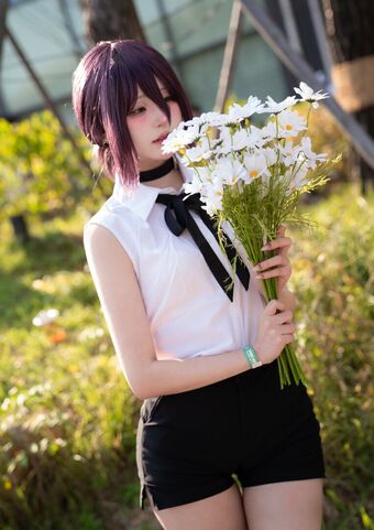 shucos