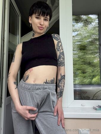 small_mia