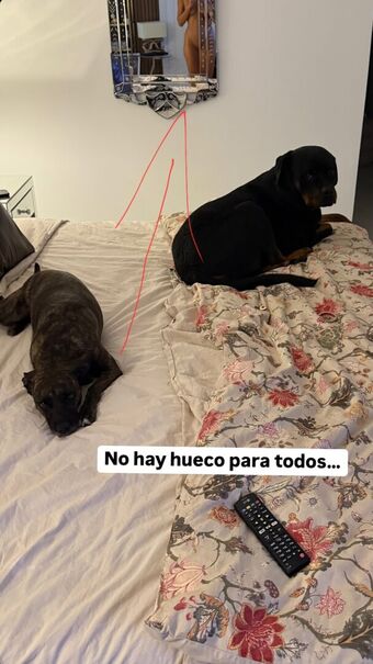 Sofia Suescun Nude Leaks OnlyFans Photo 172