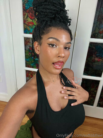 softbbfree Nude Leaks OnlyFans Photo 6