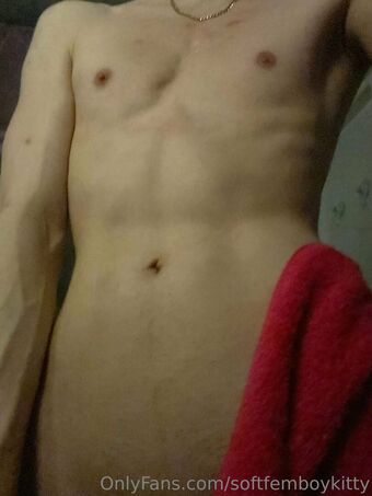 softfemboykitty
