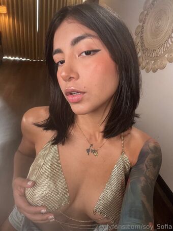 soysofia_2 Nude Leaks OnlyFans Photo 54