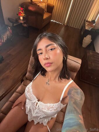 soysofia_2 Nude Leaks OnlyFans Photo 60