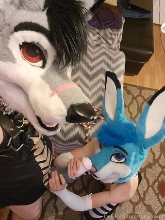 stallionwolf