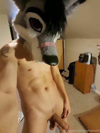 stallionwolf