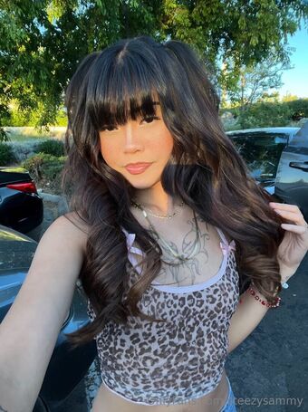 steezysammy
