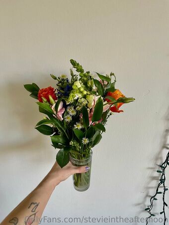 stevieintheafternoon