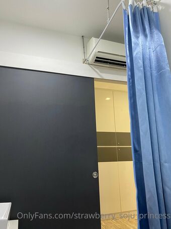 strawberry_soju_princess