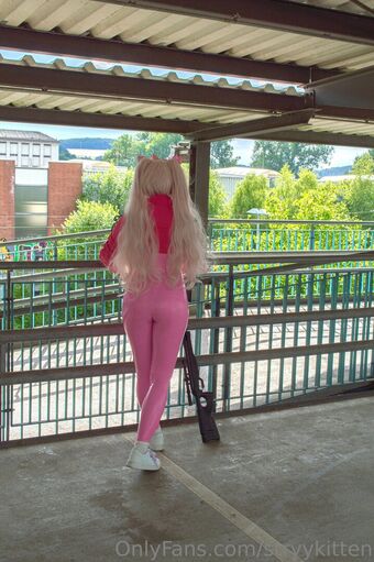 stryykitten