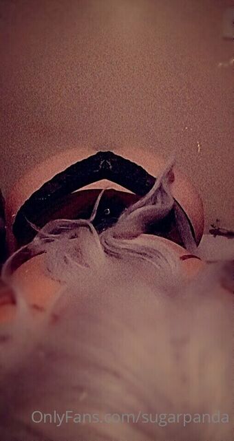 sugarpanda Nude Leaks OnlyFans Photo 11