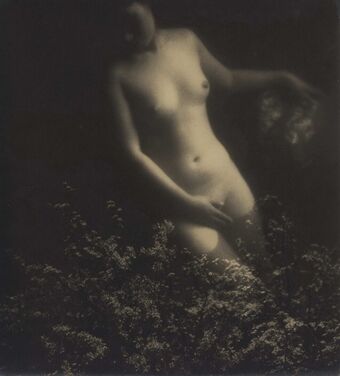 tanushka_lapina Nude Leaks OnlyFans Photo 59