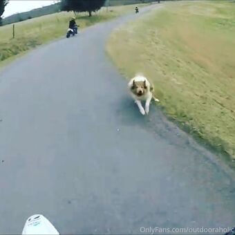 thatmtnguy
