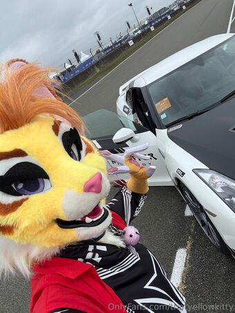 thatyellowkitty