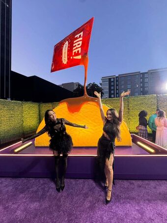 The Bella Twins Nude Leaks OnlyFans Photo 399