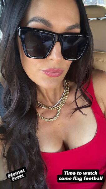 The Bella Twins Nude Leaks OnlyFans Photo 400