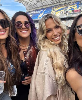 The Bella Twins Nude Leaks OnlyFans Photo 406