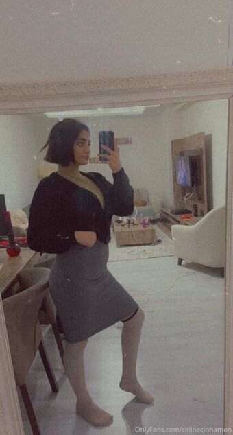 The Celine Cinnamon