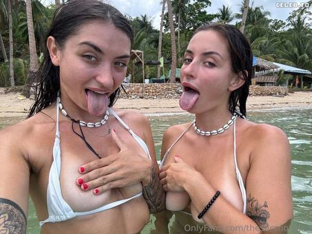 The Sereno Twins Nude Leaks OnlyFans Photo 44