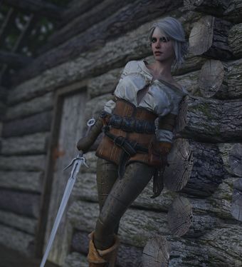 The-witcher