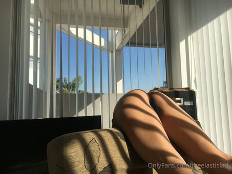 theelasticlady