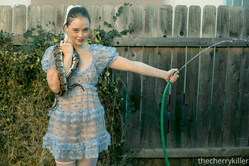 thestrawberrybutcher