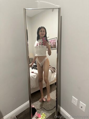 tinypix Nude Leaks OnlyFans Photo 12