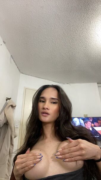 ts_shina21