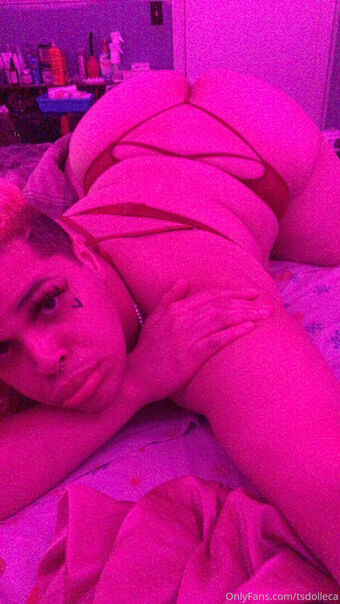 tsdolleca Nude Leaks OnlyFans Photo 1